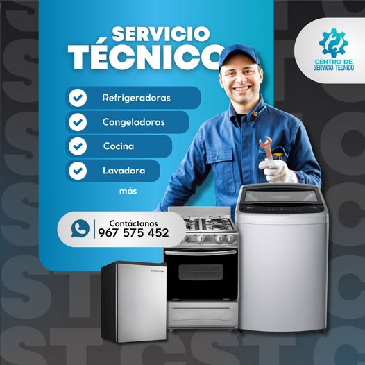 Servicio Técnico 2